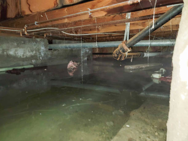 Best Water damage contractors near me  in Augusta, KS