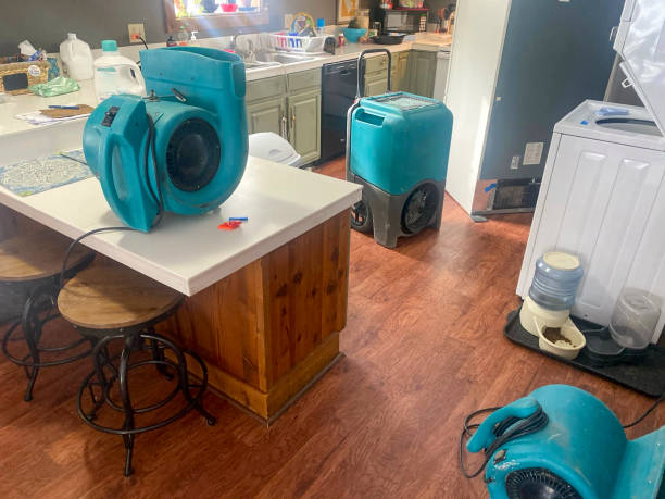 Best Basement water damage restoration  in Augusta, KS