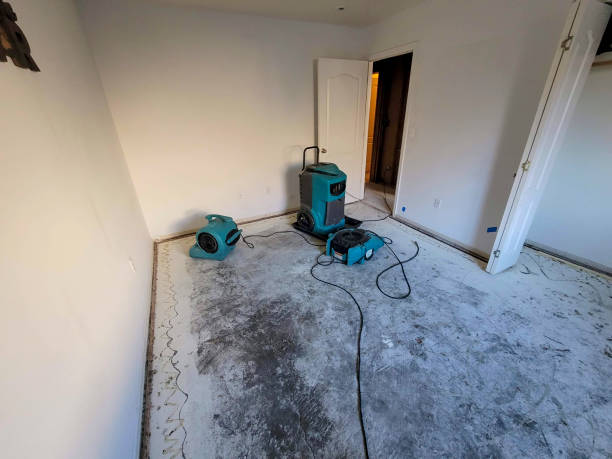 Best Fire Damage Restoration  in Augusta, KS