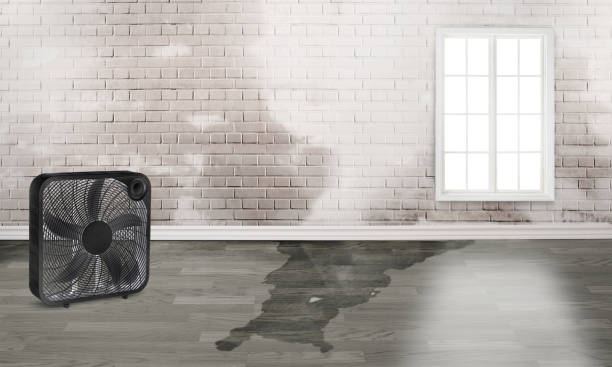 Best Commercial water damage restoration  in Augusta, KS