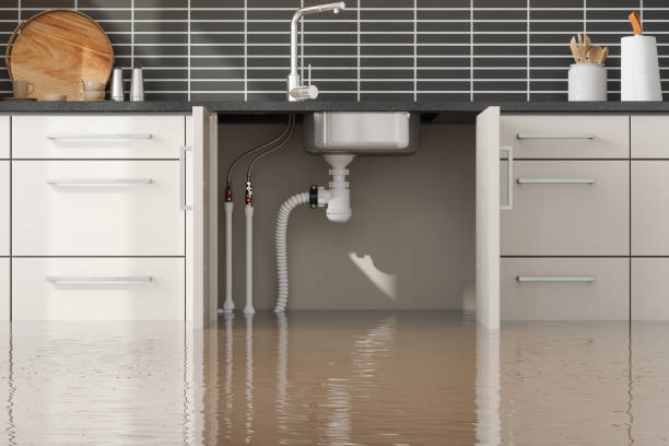 Best Water damage cleanup near me  in Augusta, KS