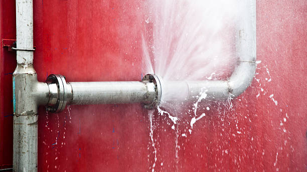Best Professional water damage repair  in Augusta, KS